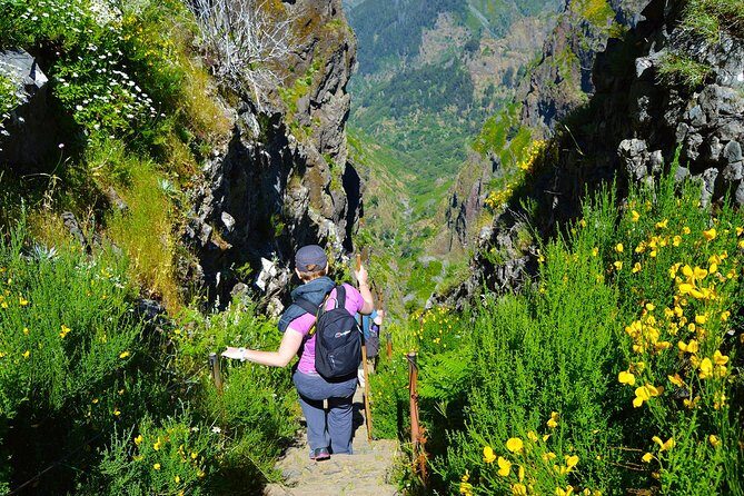 Madeira Peaks - Mountain Walk - Getting from Funchal: pickup, timing, and what the group feels like