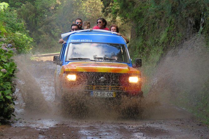 Madeira Peaks - Open 4X4 Full-Day Tour - Price and Value: What $83.45 Buys (and What It Doesn’t)