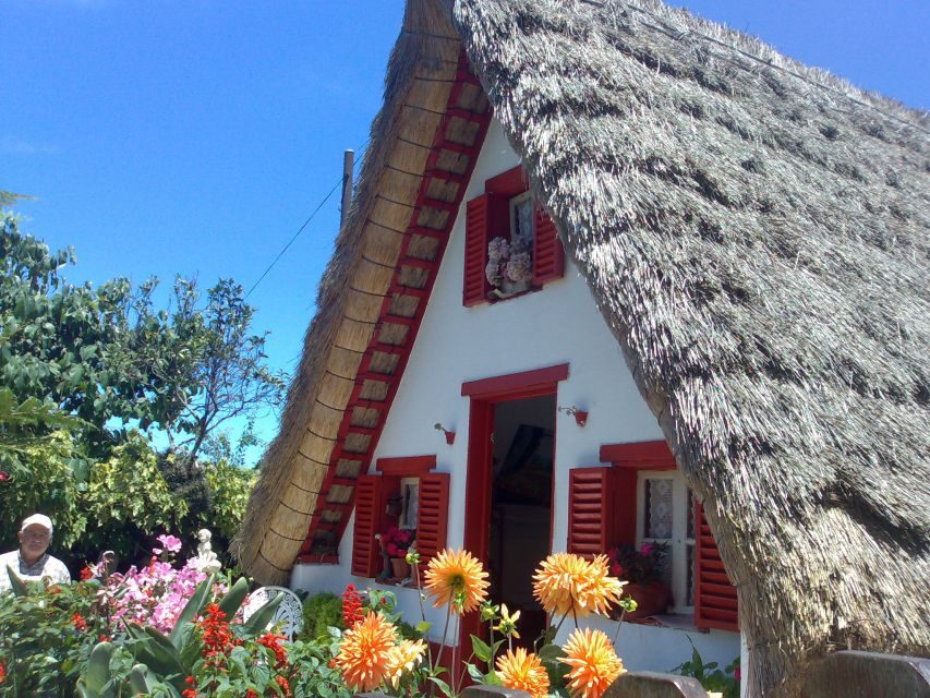 Madeira: Pico do Arieiro & Laurissilva Forest - East tour - Price and what you really get for about $30