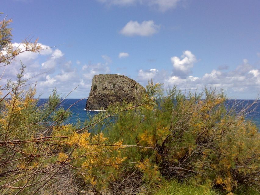 Madeira: Pico do Arieiro & Laurissilva Forest - East tour - Camacha first stop: local landmarks before the climb