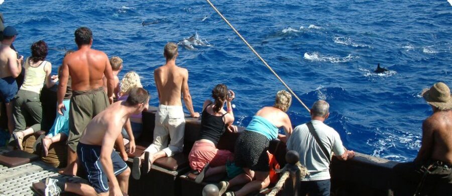 Madeira Pirate Ship: 3-Hour Boat Trip - Key things to know before you board