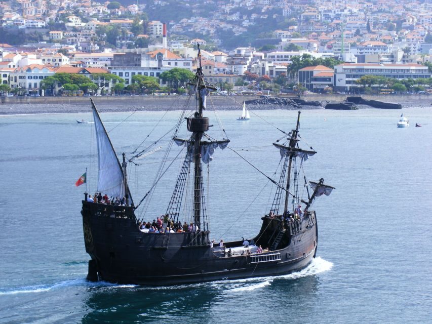 Madeira Pirate Ship: 3-Hour Boat Trip - Dolphins and Whales: How the Spotting Chances Work