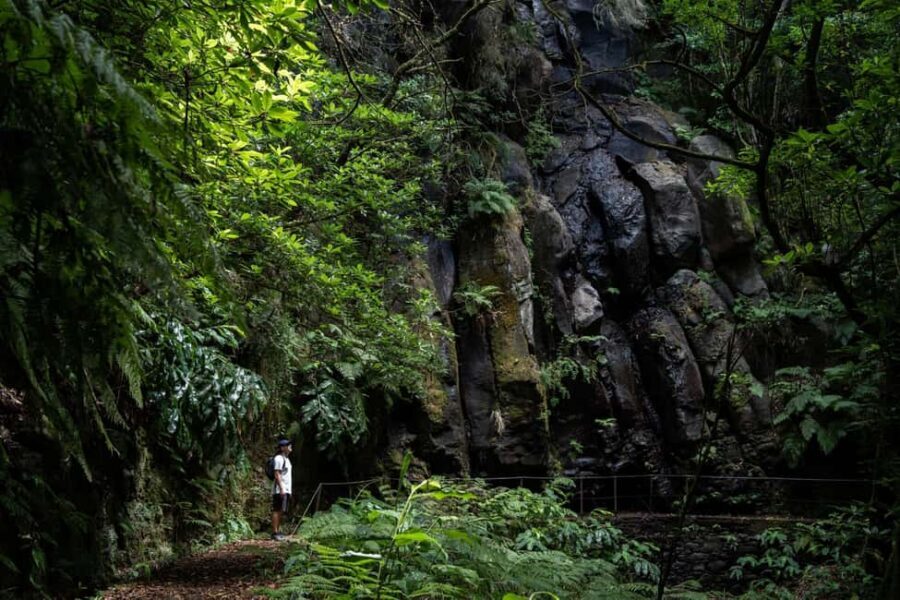 Madeira: PR 9 - Levada do Caldeirão Verde Hike Transfer - Key takeaways before you plan your PR9 day