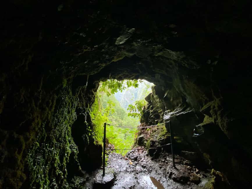 Madeira: PR 9 - Levada do Caldeirão Verde Hike Transfer - Pico das Pedras start: the calm warm-up of PR9.1