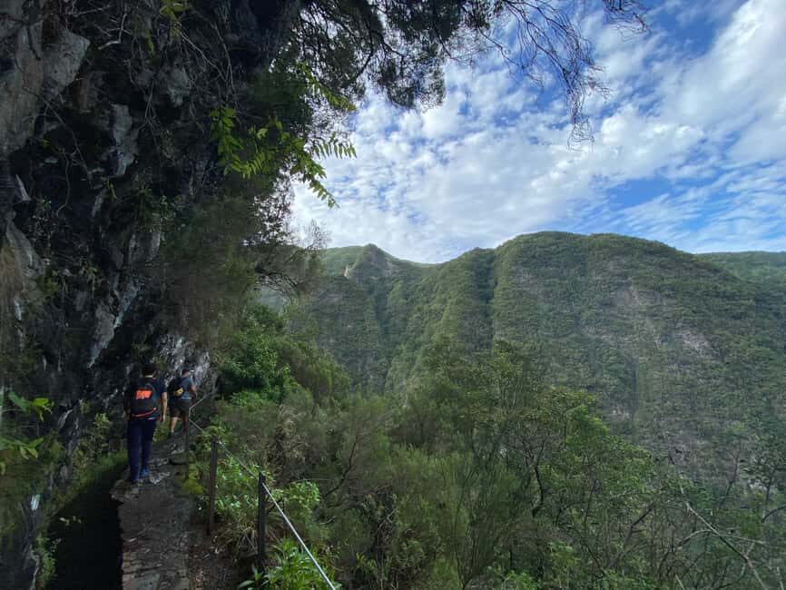 Madeira: PR 9 - Levada do Caldeirão Verde Hike Transfer - Walking the levada route: forest, waterfalls, and tunnel reality