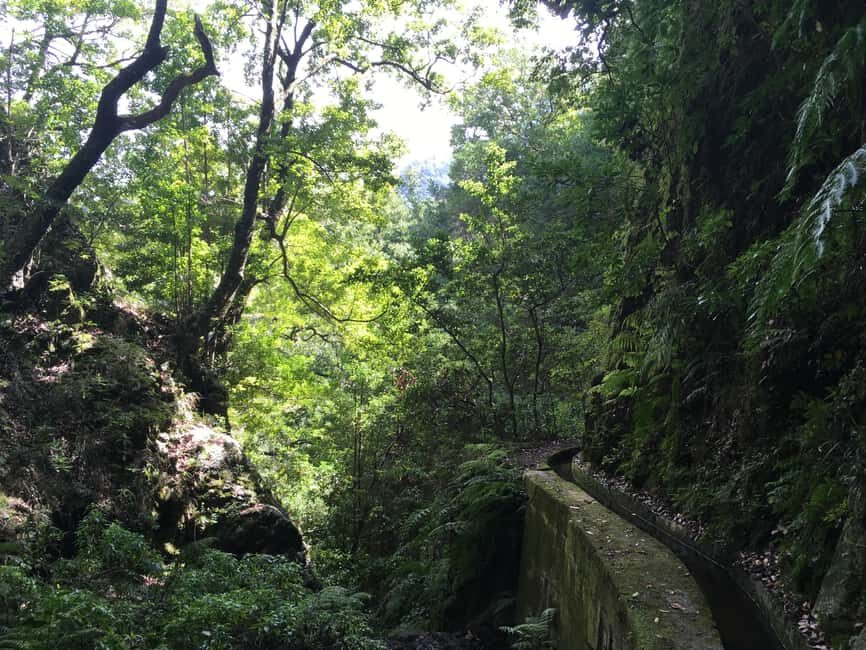 Madeira: PR 9 - Levada do Caldeirão Verde Hike Transfer - What’s included (and what you’re responsible for)