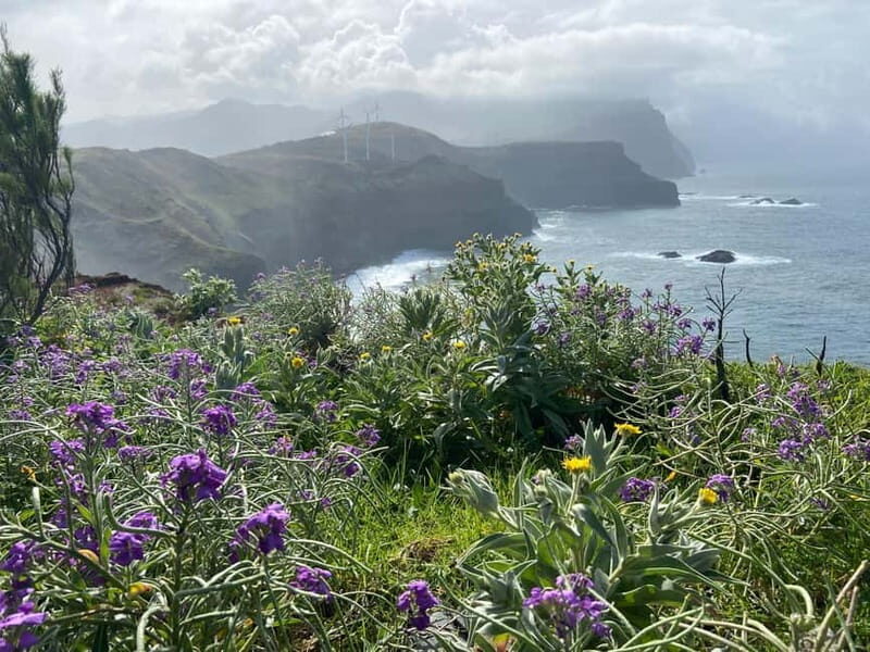 Madeira: PR8 -Ponta de São Lourenço Natural Reserve Transfer - Desembarcadouro and Farol Islets: Where the Views Earn Their Walking Time