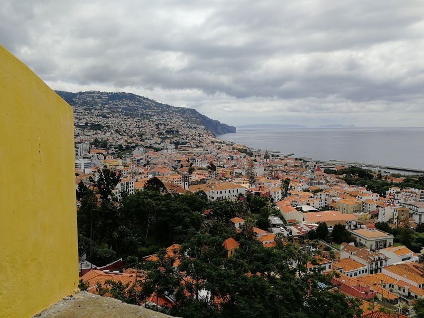 Madeira: Private Funchal City Tour in a Tukxi - Who this Tukxi tour suits best