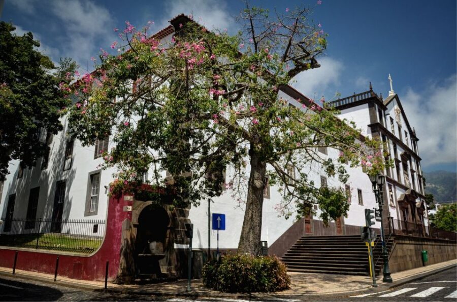 Madeira: Private Funchal City Tour in a Tukxi - Barreirinha Bar Café: a short break with a view