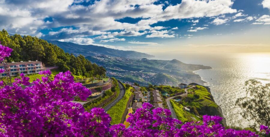 Madeira: Private Guided Cabo Girão Tour - Câmara de Lobos: fishing village charm with poncha potential