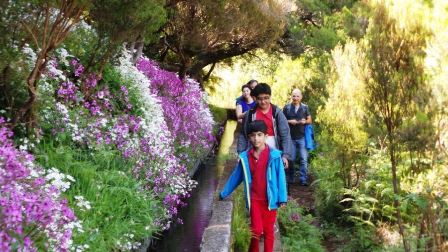 Madeira: Rabaçal 25 Fountains Levada Walk & Cabo Girão - The 25 Fontes hike: tunnel to waterfalls, with real Laurisilva forest time