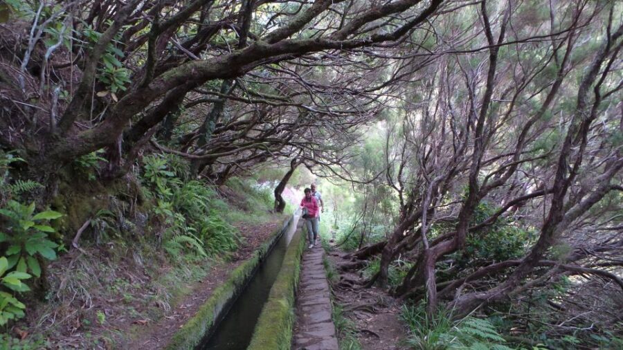 Madeira: Rabaçal 25 Fountains Levada Walk & Cabo Girão - Price and value: what $67 covers (and what you should add)
