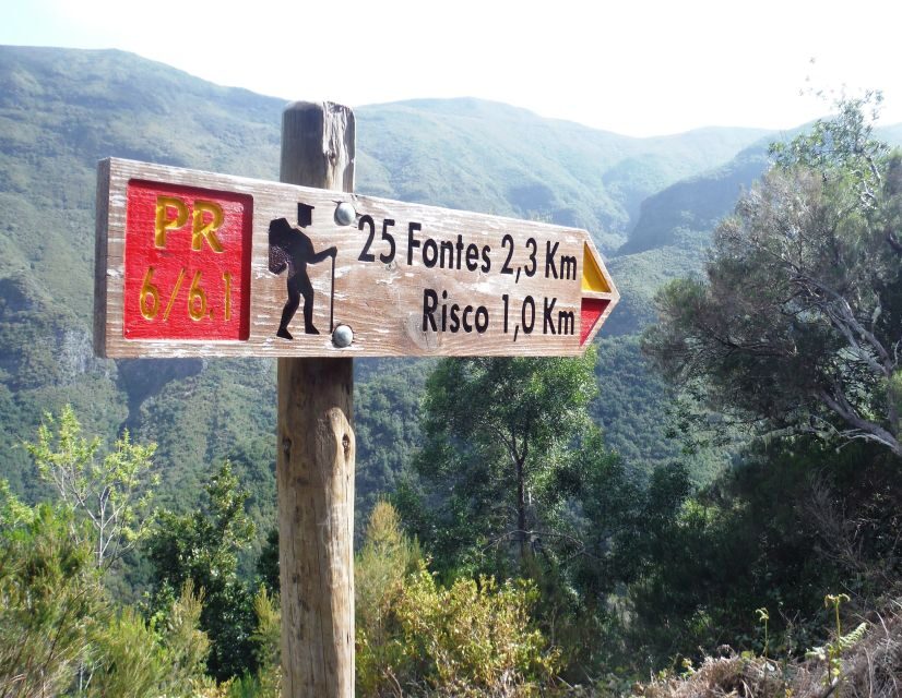 Madeira: Rabaçal, Risco and 25 Fontes Guided Hiking Tour - Key Things You’ll Notice on This 8-Hour Rabaçal Hike
