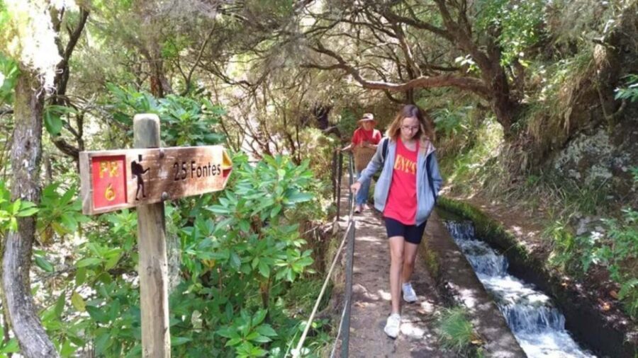 Madeira: Rabaçal, Risco and 25 Fontes Guided Hiking Tour - Madeira’s Rabaçal and 25 Fontes: Why This Walk Matters