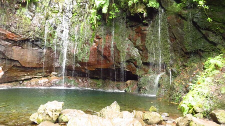 Madeira: Rabaçal, Risco and 25 Fontes Guided Hiking Tour - Rabaçal Forestry Station Start: Where the Trail Really Begins