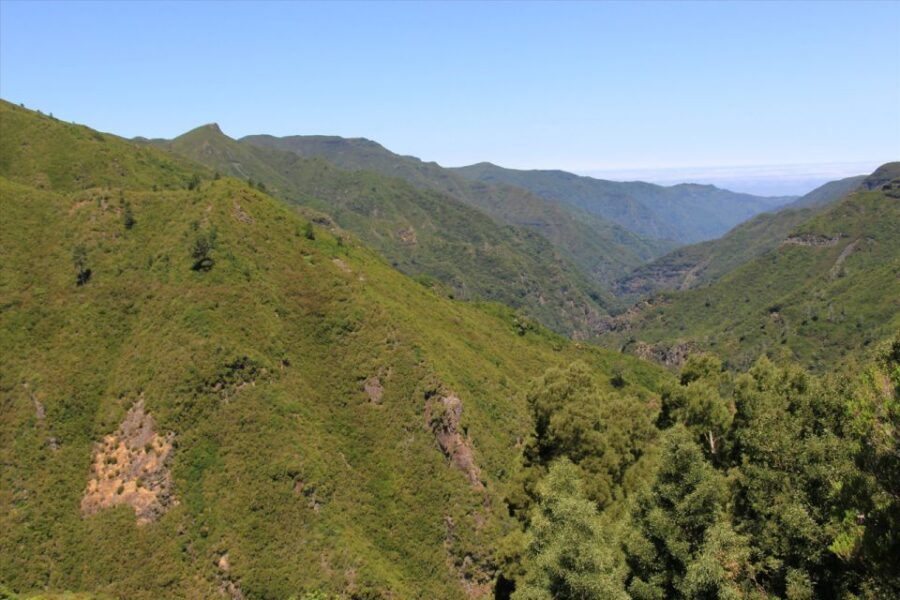 Madeira: Rabaçal, Risco and 25 Fontes Guided Hiking Tour - Cavaleiro Tunnel Return: About 800 Meters That Changes Your Setup