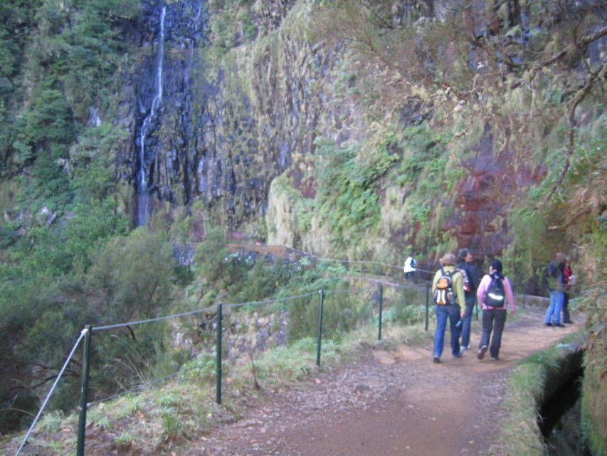 Madeira: Rabaçal, Risco and 25 Fontes Guided Hiking Tour - What to Pack for This Moderate 11 km Hike (Seriously)