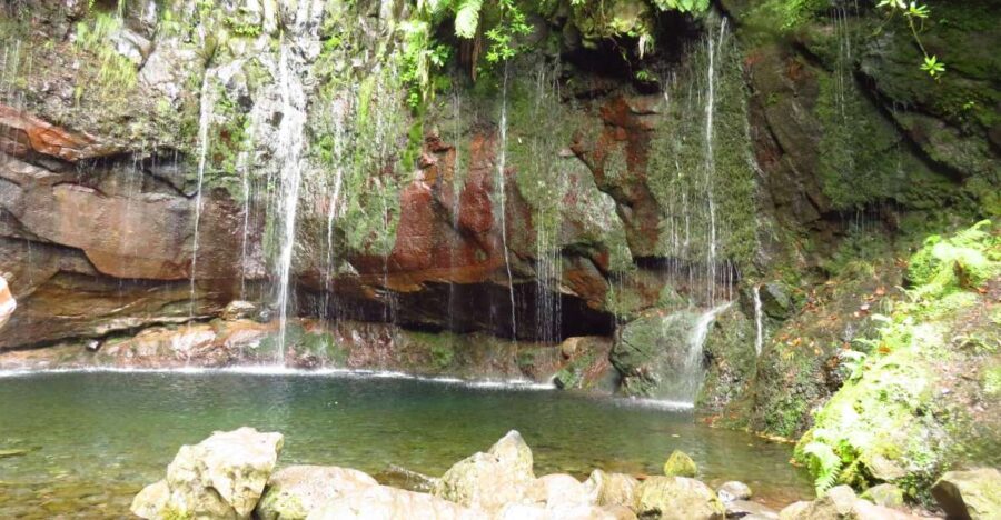 Madeira: Rabaçal, Risco and 25 Fontes Guided Hiking Tour - How the Day Flows: Pickup, Bus Stops, and the 8-Hour Rhythm