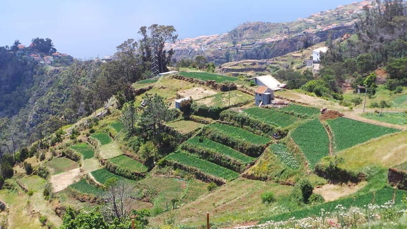 Madeira: Santana Jeep Safari and Balções Levada Walk - Santana’s thatched triangular houses: culture plus time to breathe