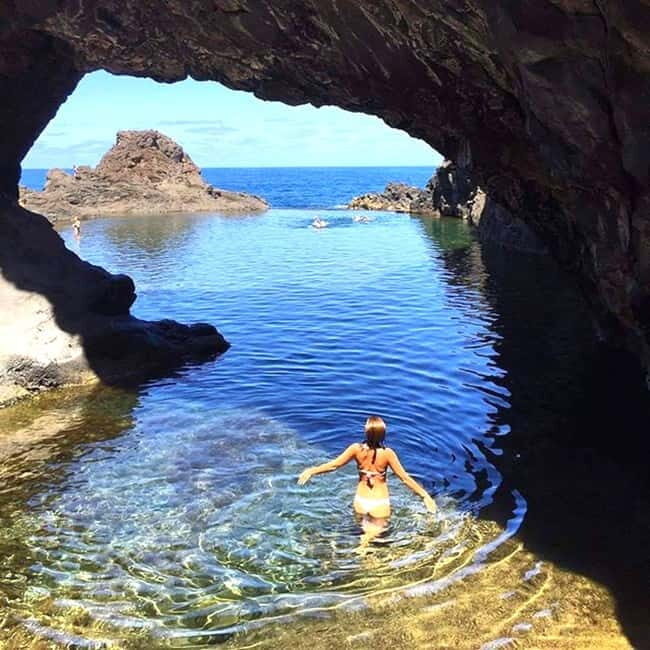 Madeira: Skywalk, Porto Moniz, Seixal, and Fanal 4WD Tour - Fanal Forest: foggy cow country and a short, eerie walk