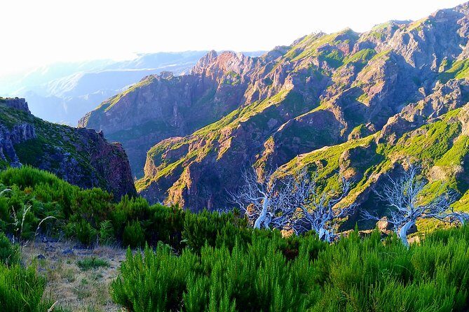 Madeira Top Sunrise - Ruivo Peak at dawn: sunrise timing, tea, and what if clouds show up
