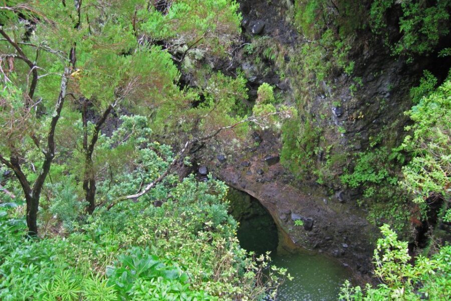 Madeira Walks - Rabaçal and the 25 Fountains - The 25 Fountains: how to enjoy the crowded highlight without losing your mind