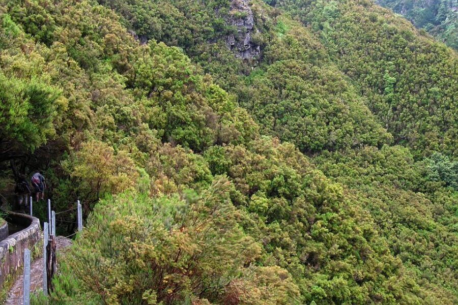 Madeira Walks - Rabaçal and the 25 Fountains - Small café stop before the return: stay fueled for the drive back