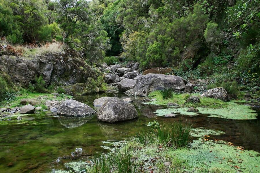 Madeira Walks - Rabaçal and the 25 Fountains - Price and value: is $50 per person a fair deal?
