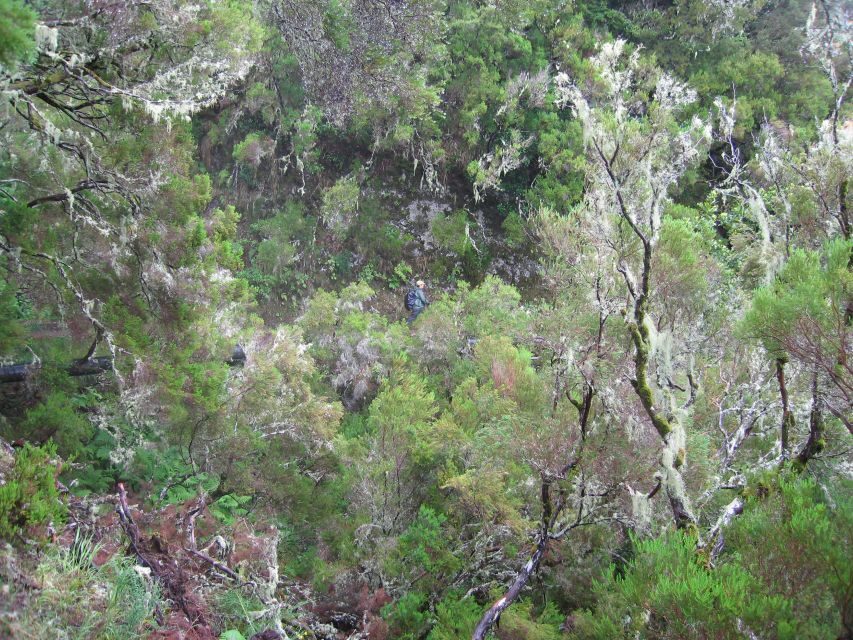 Madeira Walks - Rabaçal and the 25 Fountains - What to bring: your checklist for comfort and safety