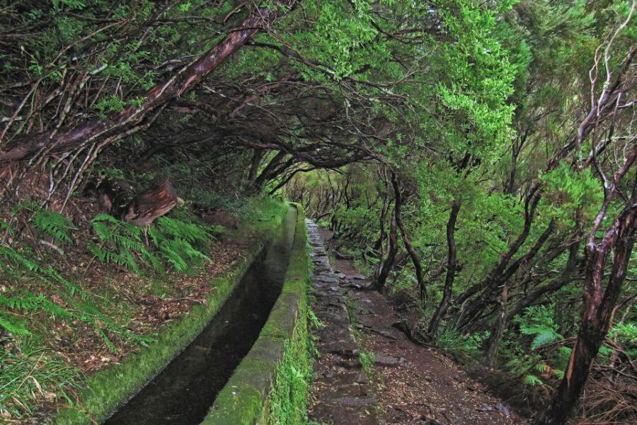 Madeira Walks - Rabaçal and the 25 Fountains - Safety and pacing: why the guide quality matters here