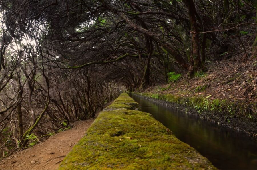 Madeira Walks - Rabaçal and the 25 Fountains - The first café break: a quick reset before the hike