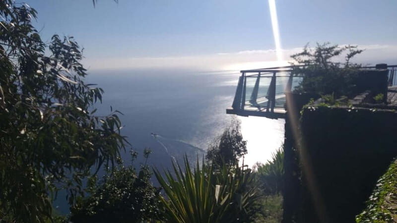 Madeira West Island Full-Day Tour with Fanal Forest - Who should book this West Island tour, and who should skip
