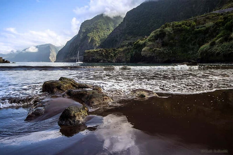 Madeira West Island Full-Day Tour with Fanal Forest - Câmara de Lobos and the coastline opener to Cabo Girão