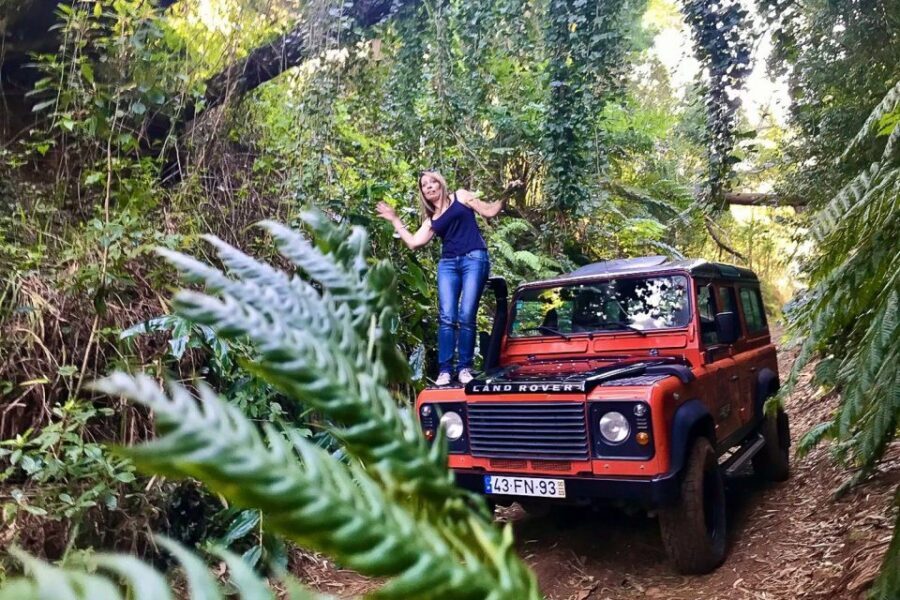 Madeira: West Side Jeep Tour with Natural Pools - Véu da Noiva Waterfall Area: Wild Birds When the Mist Plays Along