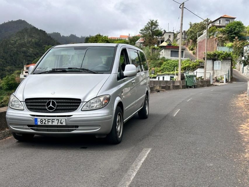 Madeira: Western Madeira Guided Trip & Fanal Mystic Forest - The Guide Makes the Day: Humor, Facts, and Real Local Tips