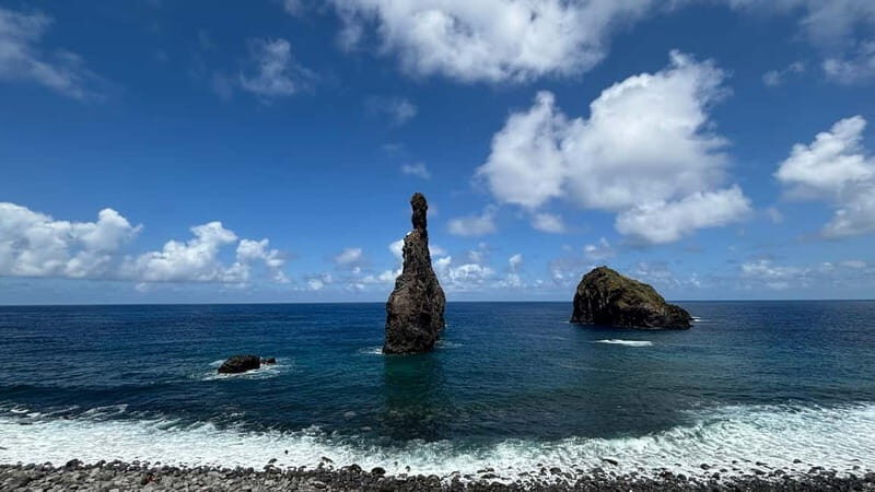 Madeira: Westside Achadas Cruz, Moniz, Seixal and Fanal - Fanal Forest Park: Misty Trees, Legendary Cows, and a Slow Walk
