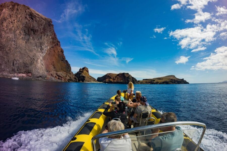 Madeira: Whale and Dolphin Watching Tour - Why Ponta de São Lourenço is the right place to search