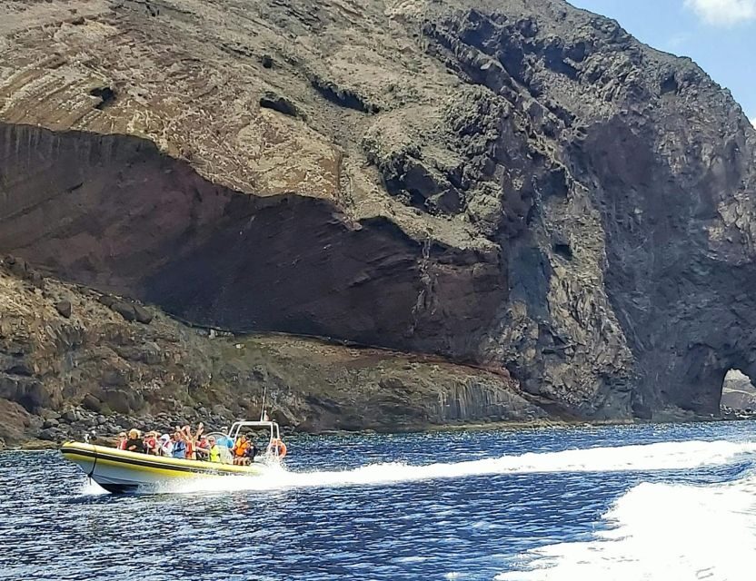 Madeira: Whale and Dolphin Watching Tour - Who this tour suits best (and who should skip it)