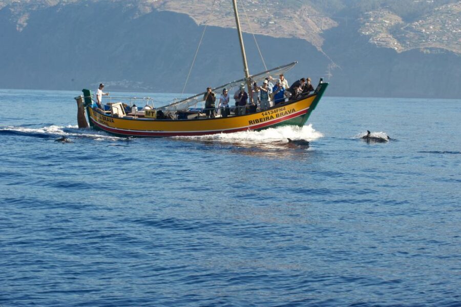 Madeira: Whale Watching Excursion in a Traditional Vessel - Price and value: is $53 worth 2.5 hours on the water?