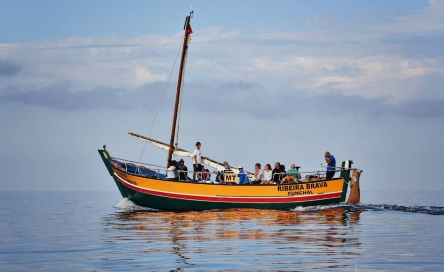 Madeira: Whale Watching Excursion in a Traditional Vessel - Language and group experience: English or German, live guidance