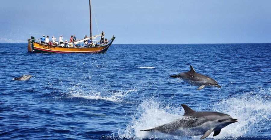 Madeira: Whale Watching Excursion in a Traditional Vessel - Your Boat, Ribeira Brava: why the traditional vessel changes the feel
