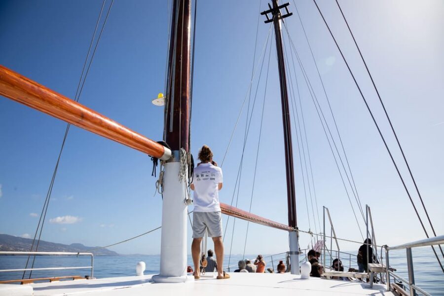 Madeira : Whales and Dolphins wooden boat excursion - Price and Value: Is $41 a Good Deal?