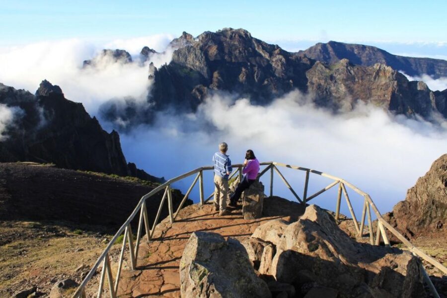 Madeira Wild West 4X4 Tour Safari - Fanal Forest: Centuries-Old Trees and a Guided Walk