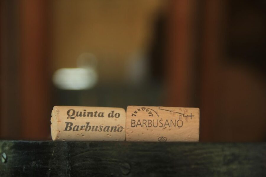 Madeira: Wine & Tapas, Cabo Girão Skywalk 4x4 Jeep Adventure - FAQ