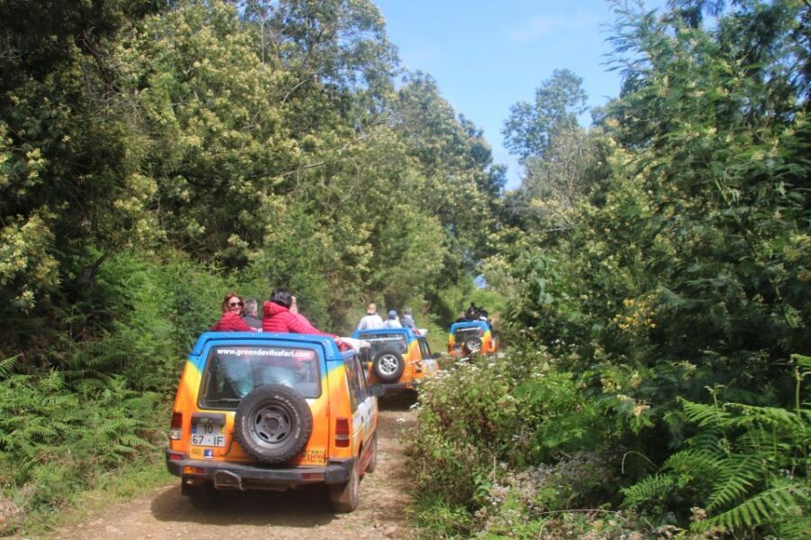 Madeira: Wine & Tapas, Cabo Girão Skywalk 4x4 Jeep Adventure - The open-top 4x4 jeep: off-road fun with real bumpy moments