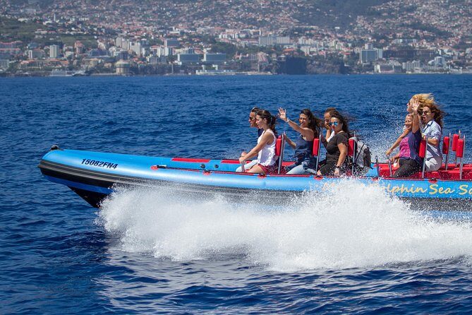 Magic Dolphin Sea Safaris - Key highlights worth planning around