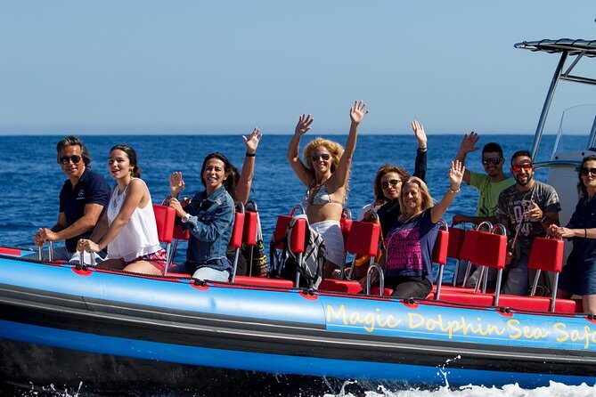Magic Dolphin Sea Safaris - Marine life you’re hunting: dolphins, pilot whales, sperm whales, turtles
