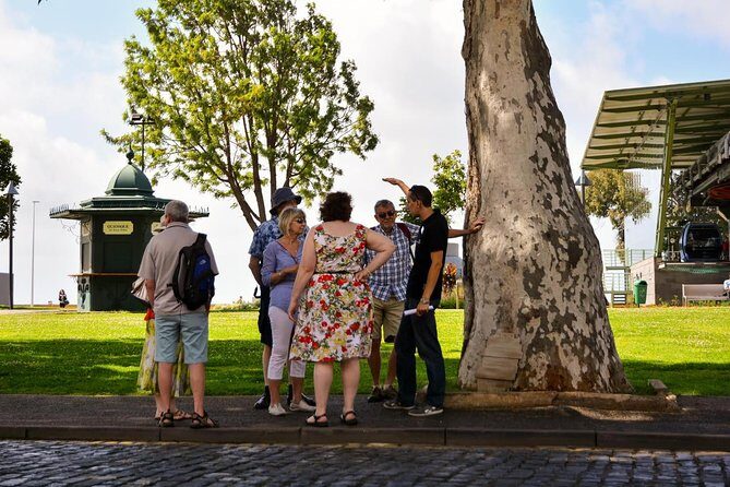 Old Funchal Walking Tour - Price and What You Actually Get for About $20