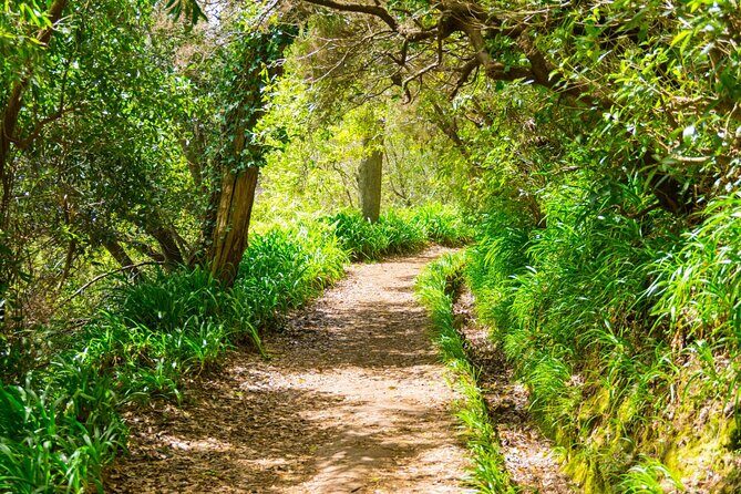 Paradise Valley Madeira Island Walk - Timing, Pace, and How Long 3 Hours 30 Minutes Actually Feels