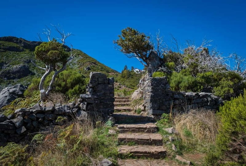 Pico Areeiro to Pico Ruivo Madeira Island Walk - Getting to the start: pickup in Funchal and the drive up